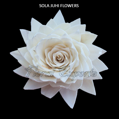 Sola Juhi Flowers 8cm - Bulk Sola Flowers