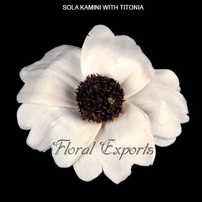 Sola Kamini Flowers with Titonia-Sola Flowers
