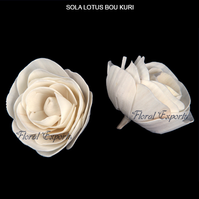 Sola Lotus Bou Kuri Flowers-Sola Flowers Wholesaler