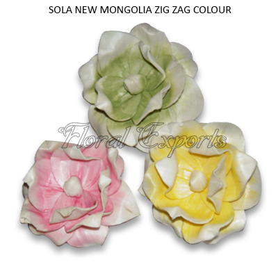 Sola New Mongolia Flowers Zig Zag Colour