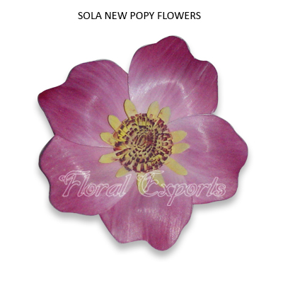 Sola New Popy Flowers-Sola Flowers Suppliers