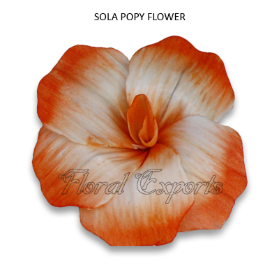 Sola Popy Flowers-Balsa Wood Flowers Bulk