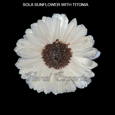 Sola Balsa Flowers-Sola Sunflowers with Titonia