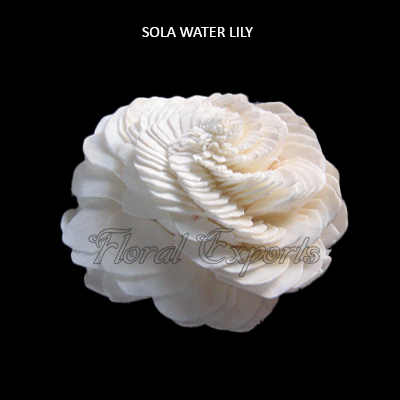 Sola Water Lily 10cm-Sola Eco Flowers