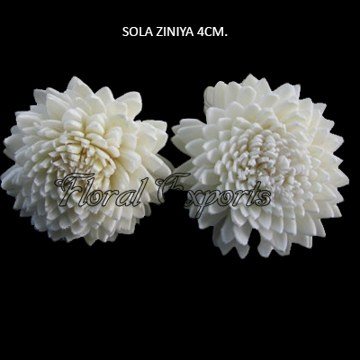 Sola Ziniya 4cm-Sola Flowers Bulk