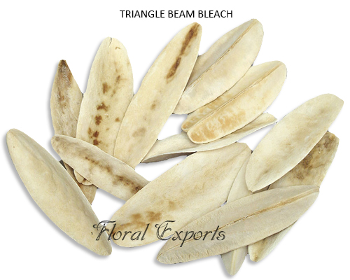 Triangle Beam Bleach - Bulk Dried Flowers Suppliers India