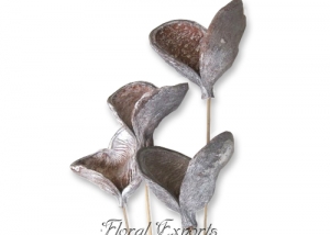 Badam Pod White Wash - Frosted