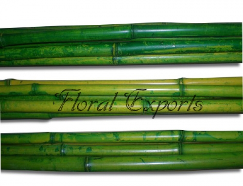 Bamboo Pole green 10feet