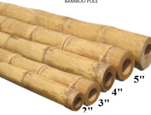 Bamboo Pole