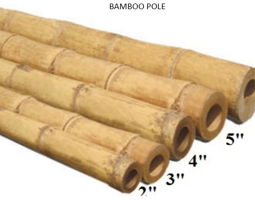 Bamboo Pole - Bulk Bamboo Poles Wholesale