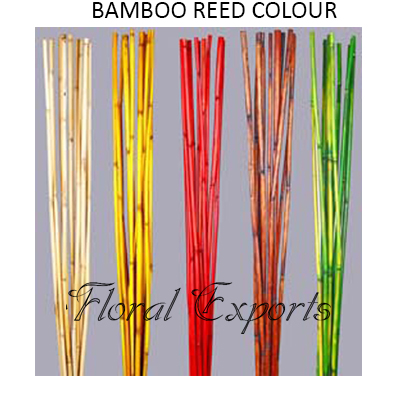 Bamboo Reed Colour 1mtr - Bulk Decorative Bamboo Sticks