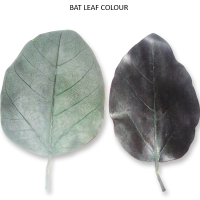 Bat Leaves Preserve Green Colour