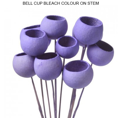 Bell Cup on Stem