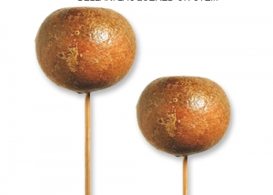 Bulk Belani Lacquered on Stem Wholesale Supplies
