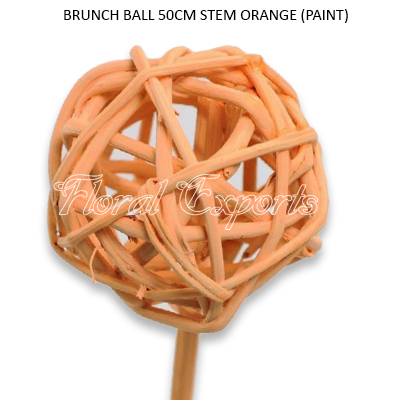 Brunch Ball Paint Color on 50cm Stem - Weaving Brunch Balls Wholesale