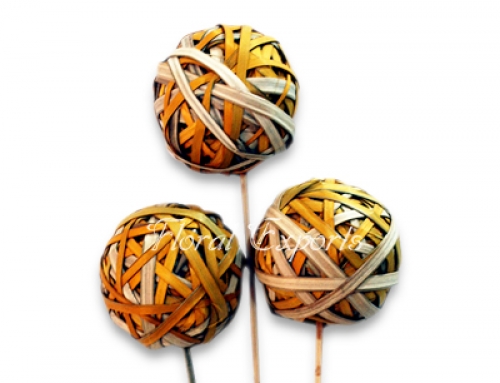 Cane Beti Balls Multy Colour