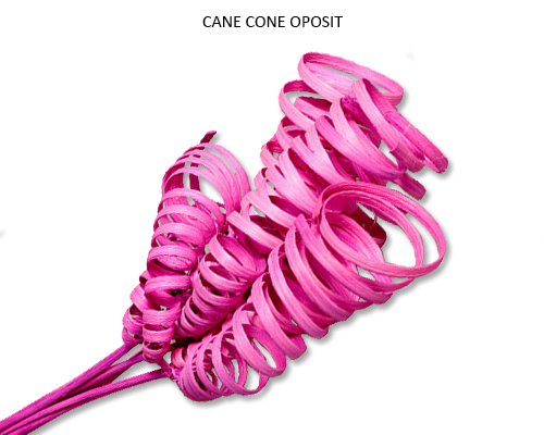Cane Cone Oposit Colour - Bulk Dried Florist Article Wholesale Suppliers