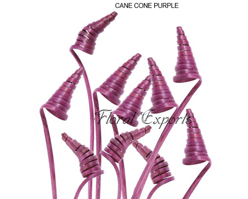 Cane Cone Purple - Bulk Florist Articles Wholesale Suppliers