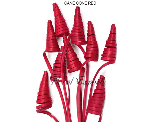 Cane Cone Red - Wholesale Dried Flowers Suppliers