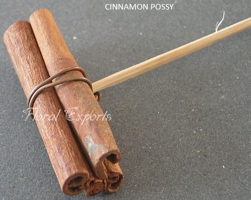 Cinnamon on Stick Possy - Wholesale Cinnamon Possy Supplies