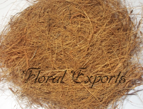 Coco Fibre Natural
