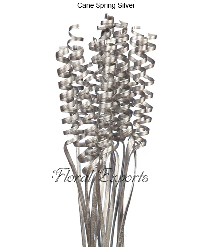 Cane Spring Silver - Christmas Ornaments