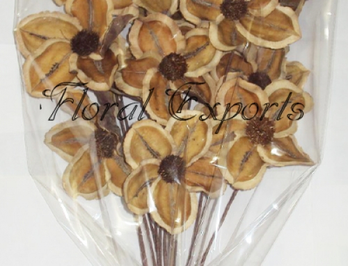 Jacaranda Flower Natural 25pcs Bunch