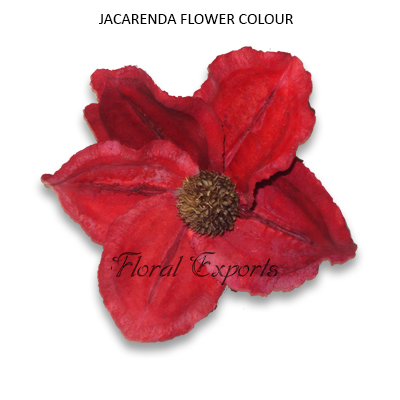 Jacaranda Flowers Red Loose