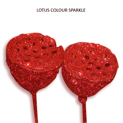 Lotus Pods Samall Red with Glitter on Stem