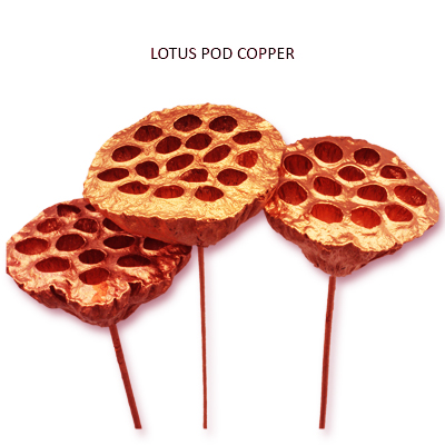 Lotus Pods Large Copper on Stick