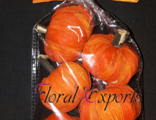 Maize Pumpkin Orange 6pc Bag