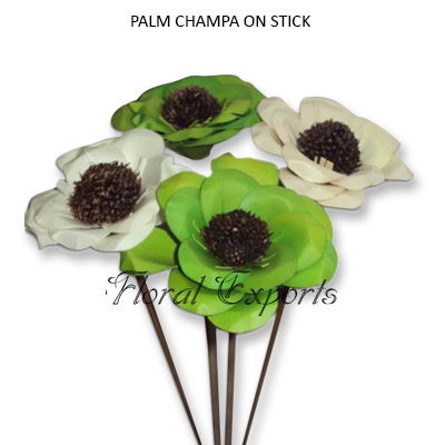 Palm Champa on Stick - Dried Palmflowers Wholesale Suppliers