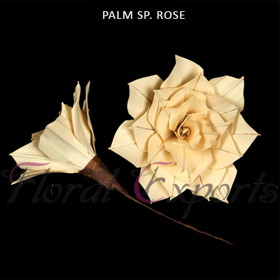 Palm Rose Special on Stem - Palm Rose Wholesale Supplies