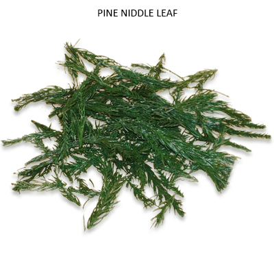 Pine Niddle Leaves - Dried Decorative Leaves Wholesale