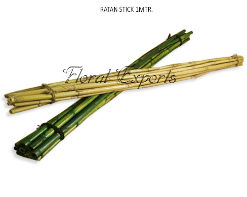 Rattan Stick 1MTR Long - Tall Decorative Sticks Wholesale