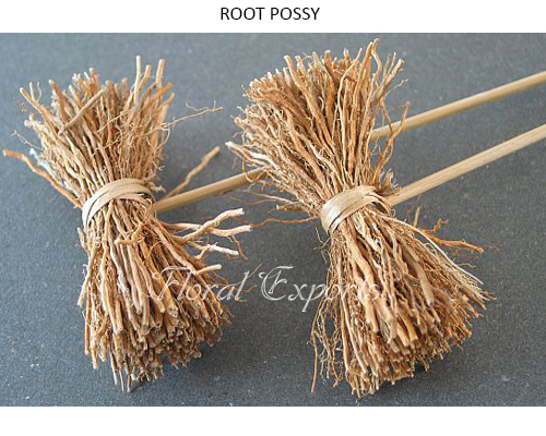 Root Possy Natural on Stem