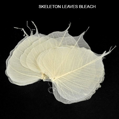 Peepal Skeleton Leaves Bleach - Skeleton Leaves Natural Wholesale