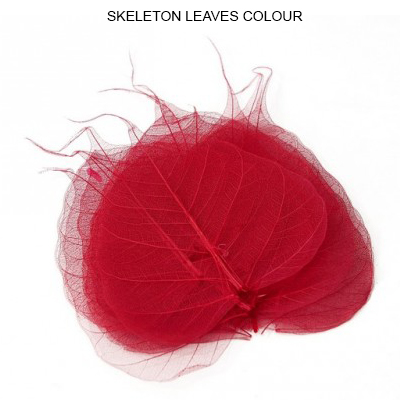 Peepal Skeleton Leaves Red - Bulk Skeletan Leaves Wholesale