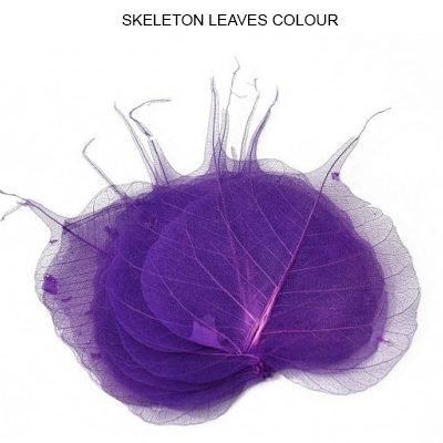 Peepal Skeleton Leaves Purple - Wholesale Skeleton Leaves Supplies