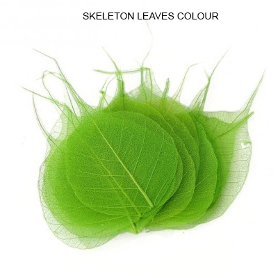 Peepal Skeleton Leaves Green - Skeleton leaves bulk Suppliers