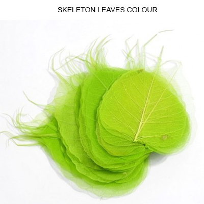 Peepal Skeleton Leaf Lt Green - Dry Leaves Manufacturers, Suppliers & Wholesalers