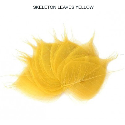 Peepal Skeleton Leaves Yellow - Dried Peepal Leaves Wholesale Supplies