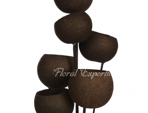 Bellcup Black on Stick 6pcs Bunch