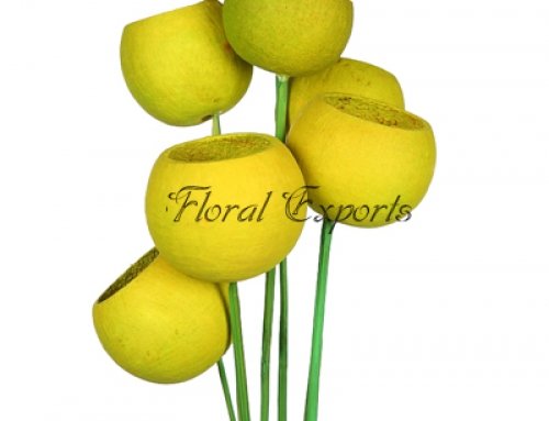 Bell Cup Light Green on Stick 6pcs Bunch