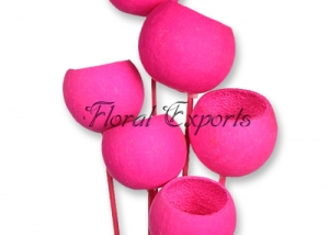 Bell Cup Magenta on Stick