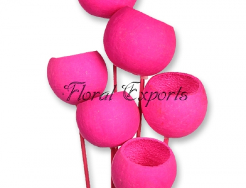 Bell Cup Magenta on Stick 6pcs Bunch