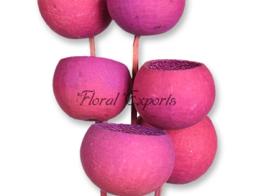 Bell Cup Mauve on Stick 6 pcs Bunch