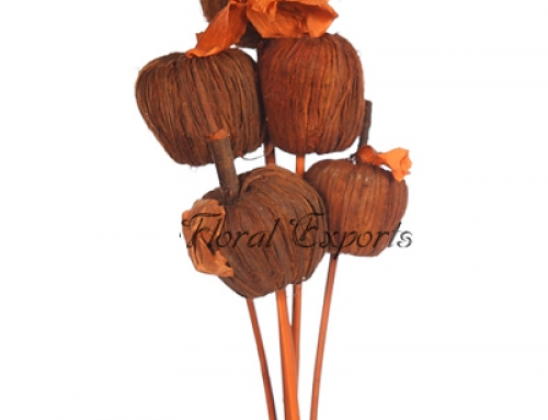 CHILKA APPLE ON STICK ORANGE 5PCS BUNCH
