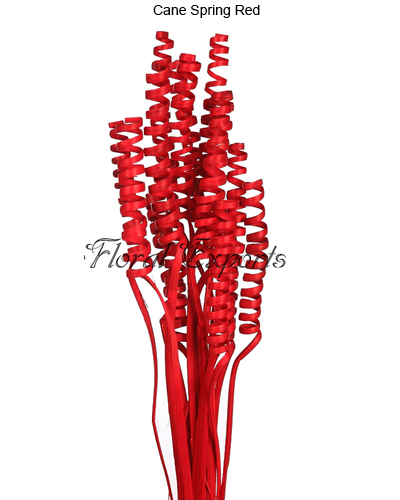 Cane Spring Red - Florist Supplies