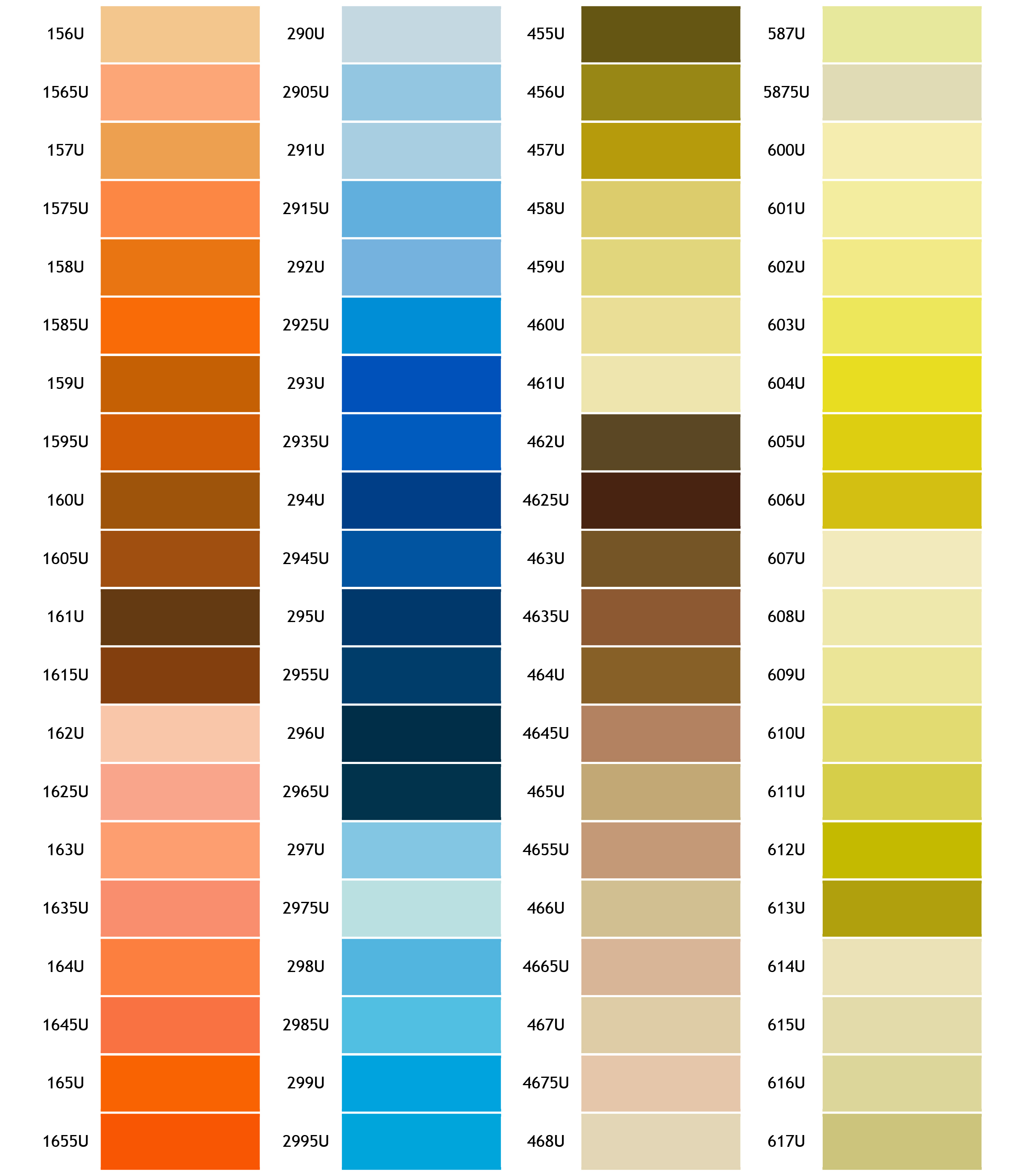 colour-shades-dried-exotics